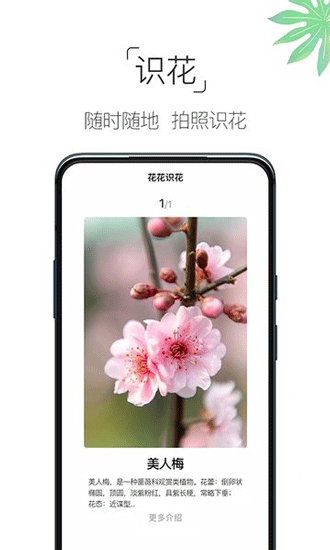 养花大全